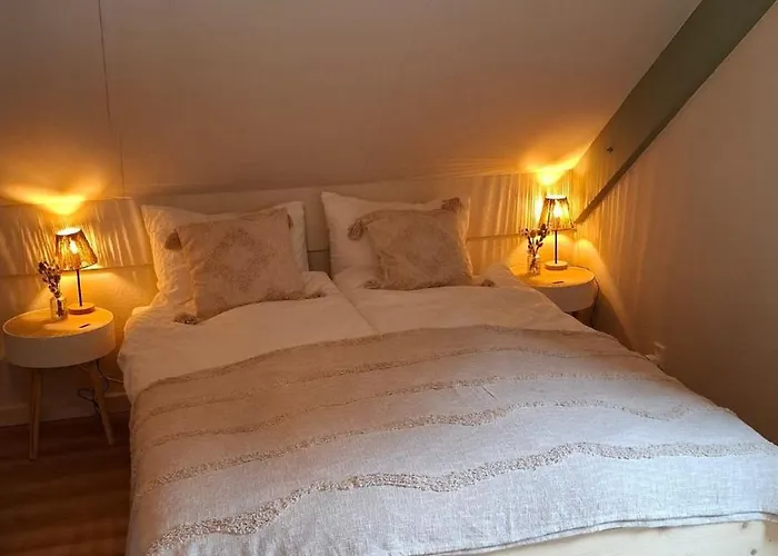 Groene Heuvels 101 *